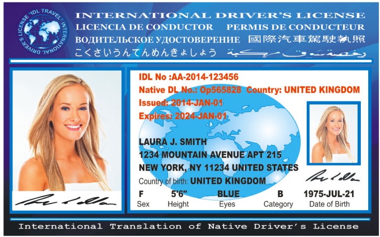 International Drivers License Template